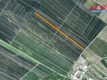 Prodej zemědělské půdy, Týnec, 786 m2