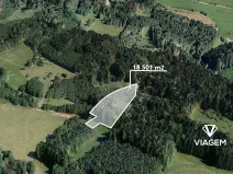 Prodej lesa, Tatobity, 34770 m2