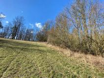 Prodej louky, Havlovice, 2200 m2