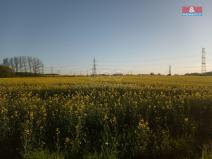 Prodej pole, Praha - Šeberov, 2421 m2