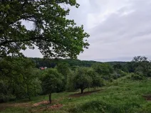 Prodej pozemku pro bydlení, Březnice, 1000 m2