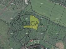 Prodej lesa, Malé Žernoseky, 7464 m2