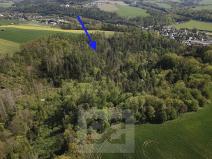 Prodej lesa, Chocerady, 4369 m2