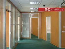 Pronájem kanceláře, Brno, 227 m2