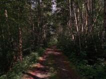 Prodej pozemku, Nicov - Řetenice, 1922 m2