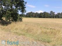 Prodej pole, Čejetice, 10968 m2