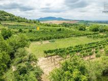 Prodej sadu/vinice, Pouzdřany, 1120 m2