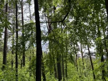 Prodej pozemku, Český Dub, 25179 m2