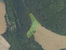 Prodej pole, Velká Lečice, 11887 m2