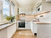 Prodej bytu 2+1, Brno - Štýřice, Renneská třída, 57 m2