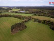 Prodej lesa, Borohrádek, 7342 m2