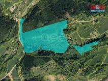 Prodej lesa, Vsetín, 50199 m2