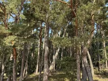 Prodej podílu pozemku, Hradiště, 3093 m2