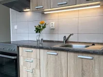 Pronájem bytu 2+1, Chomutov, Cihlářská, 52 m2