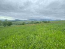 Prodej pozemku, Králíky - Dolní Hedeč, 25968 m2