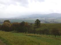 Dražba louky, Vlachovice, 6246 m2