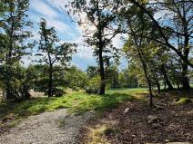 Prodej lesa, Postupice, 470 m2