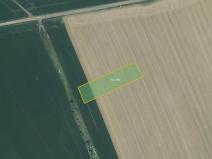 Prodej pole, Beňov, 4181 m2