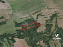 Prodej podílu lesa, Velká Bukovina, 2383 m2