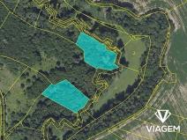 Prodej lesa, Praha, 5555 m2