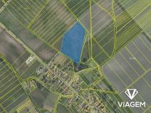 Prodej podílu pole, Horka I, 8080 m2