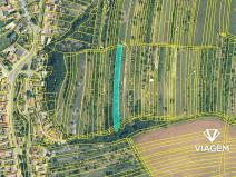 Prodej podílu zahrady, Syrovín, 1556 m2