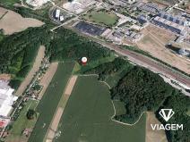 Prodej lesa, Dětmarovice, 3667 m2