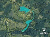 Prodej podílu lesa, Růžďka, 4590 m2