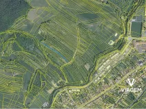 Prodej podílu zahrady, Brumov-Bylnice, 463 m2