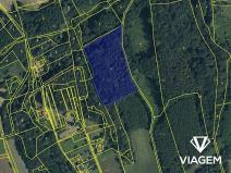 Prodej podílu lesa, Doubrava, 1081 m2