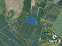 Prodej podílu pole, Syrovice, 1177 m2