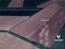 Prodej podílu pole, Litobratřice, 2999 m2