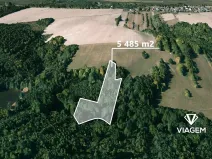 Prodej lesa, Těškovice, 5485 m2