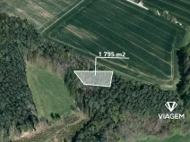 Prodej podílu lesa, Krásná Hora, Kojkovice, 598 m2