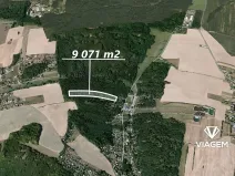 Prodej lesa, Horní Lhota, 9071 m2