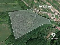 Prodej podílu lesa, Košíky, 8165 m2