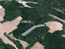 Prodej lesa, Moravské Bránice, 4068 m2