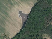 Prodej pole, Morašice, 8621 m2