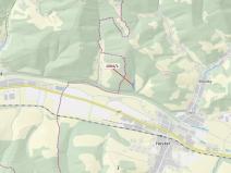 Dražba lesa, Hovězí, 2626 m2