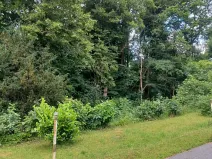 Dražba pozemku, Děčín, 2255 m2