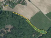 Prodej lesa, Radhošť, 14611 m2