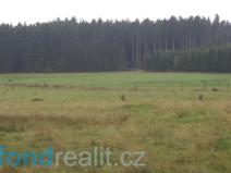 Prodej pozemku, Nová Bystřice, 10628 m2