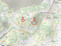 Prodej lesa, Želenice, 6238 m2