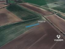 Prodej pole, Třibřichy, 2990 m2