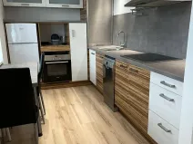 Prodej bytu 2+kk, Ostrava, Krasnoarmejců, 55 m2