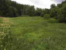 Prodej pole, Chýnov - Dobronice u Chýnova, 22334 m2