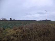 Dražba pole, Morkůvky, 6867 m2