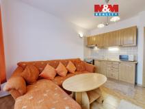 Pronájem bytu 1+kk, Mariánské Lázně - Úšovice, Tepelská, 20 m2