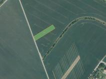 Prodej pole, Ořechov, 3631 m2