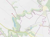 Dražba lesa, Mladoňovice, 961 m2